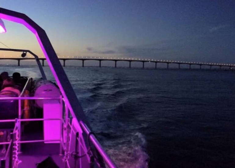 Pont de l'île de Ré - Croisières Navipromer