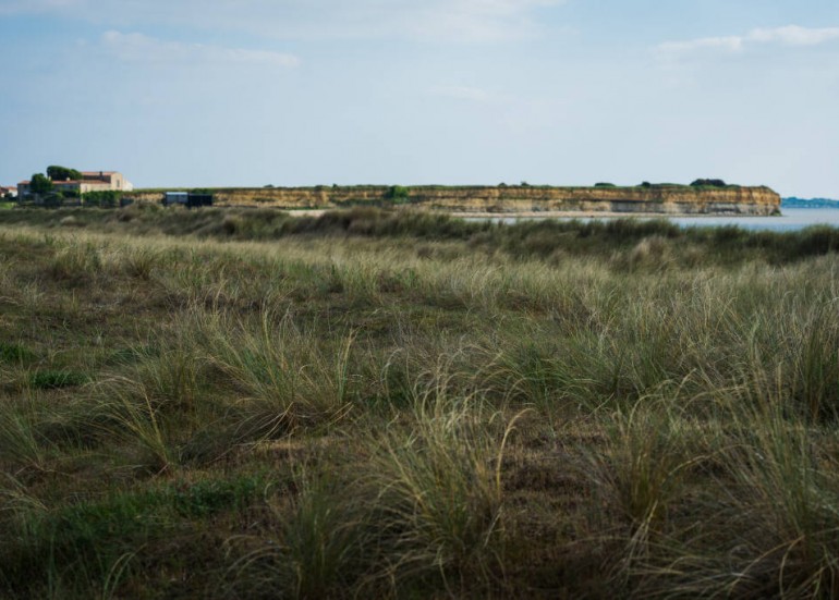 Les 4 saisons de la réserve naturelle du marais d'Yves