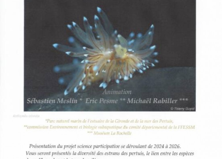 Conférence - Les Nudibranches des Pertuis_La Rochelle