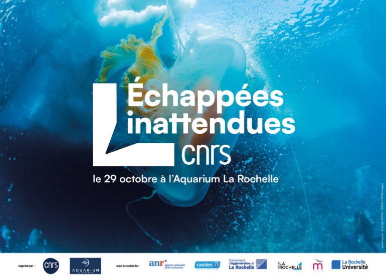 Conférence - Les Échapées Inattendues se racontent à L'Aquarium La Rochelle