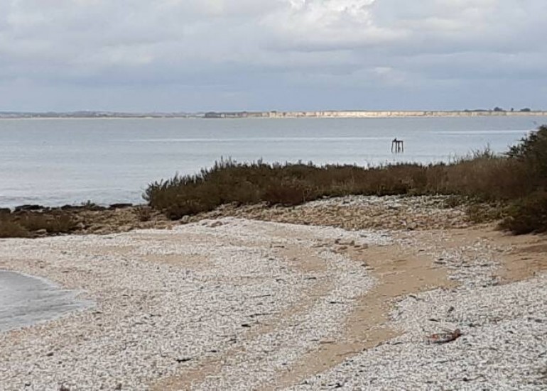 La baie d'Yves au fil des Temps - Les Temps modernes_Fouras-les-Bains